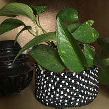 Charger l'image dans la galerie, BINDI